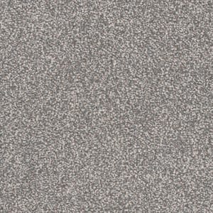 Gilbert Park I - Tudor - Gray 48 oz. Polyester Texture Installed Carpet