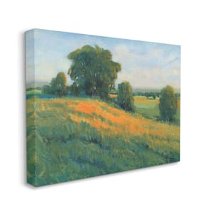 "Green Rolling Hills Blue Poppy Fields Landscapes" by Tim OToole Unframed Country Canvas Wall Art Print 16 in. x 20 in.