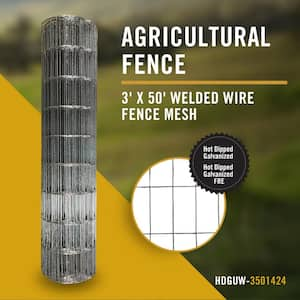 Welded Wire Mesh 3 ft. x 50 ft. Utility Fence, 2 in. x 4 in. Rectangular Mesh, Hot Dipped Galvanized