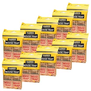 Mouse Snap Trap (20-Pack)