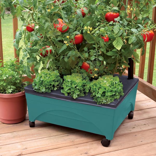 24.5 in. x 20.5 in. Patio Raised Garden Bed Grow Box Kit with Watering System and Casters in Aquamarine