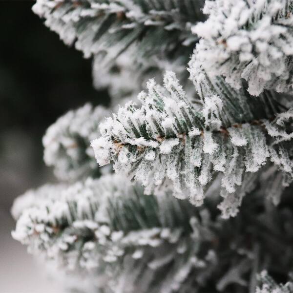 小物 supreme small zip porch real tree 12 ft. Pre-Lit Tiffany Fir Slim Tree with Clear Lights