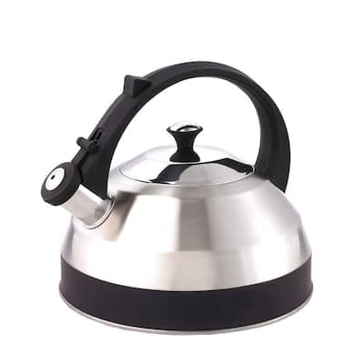 Steppes 11.2-Cup Stovetop Tea Kettle in Silver