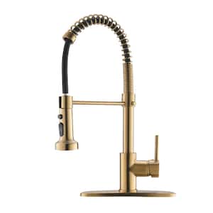 Single Handle Pull Down Sprayer Kitchen Faucet with Dual Function Sprayhead and Deckplate in Brushed Gold