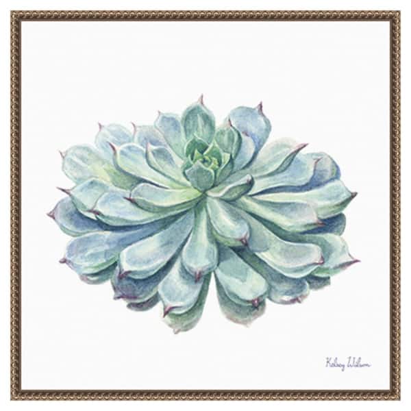 Amanti Art Single Succulents I by Kelsey Wilson 22 in. W x 22 in. H Canvas Float Frame in Bronze