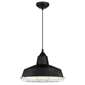 Academy 100-Watt Equivalent Black Cage Integrated LED Pendant with Removable Chrome