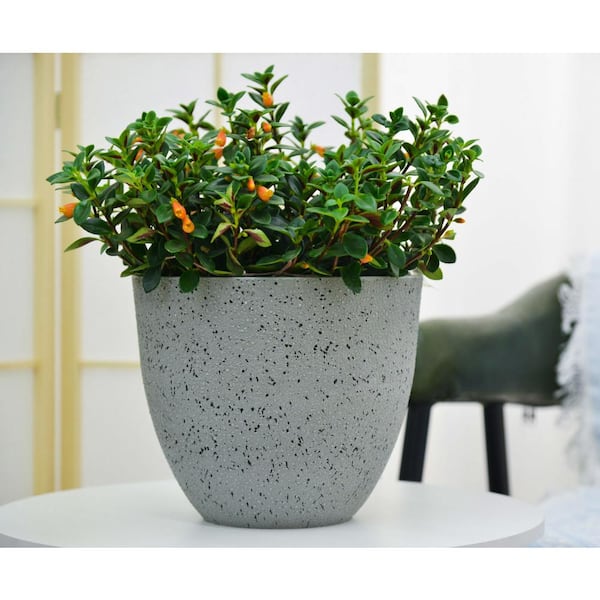 GreenShip Egg Shape 11.8 in. W x 10.2 in. H Black Indoor
