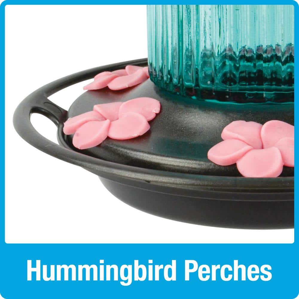 Teal Antique Glass Hanging Hummingbird Feeder with Pink Ports
