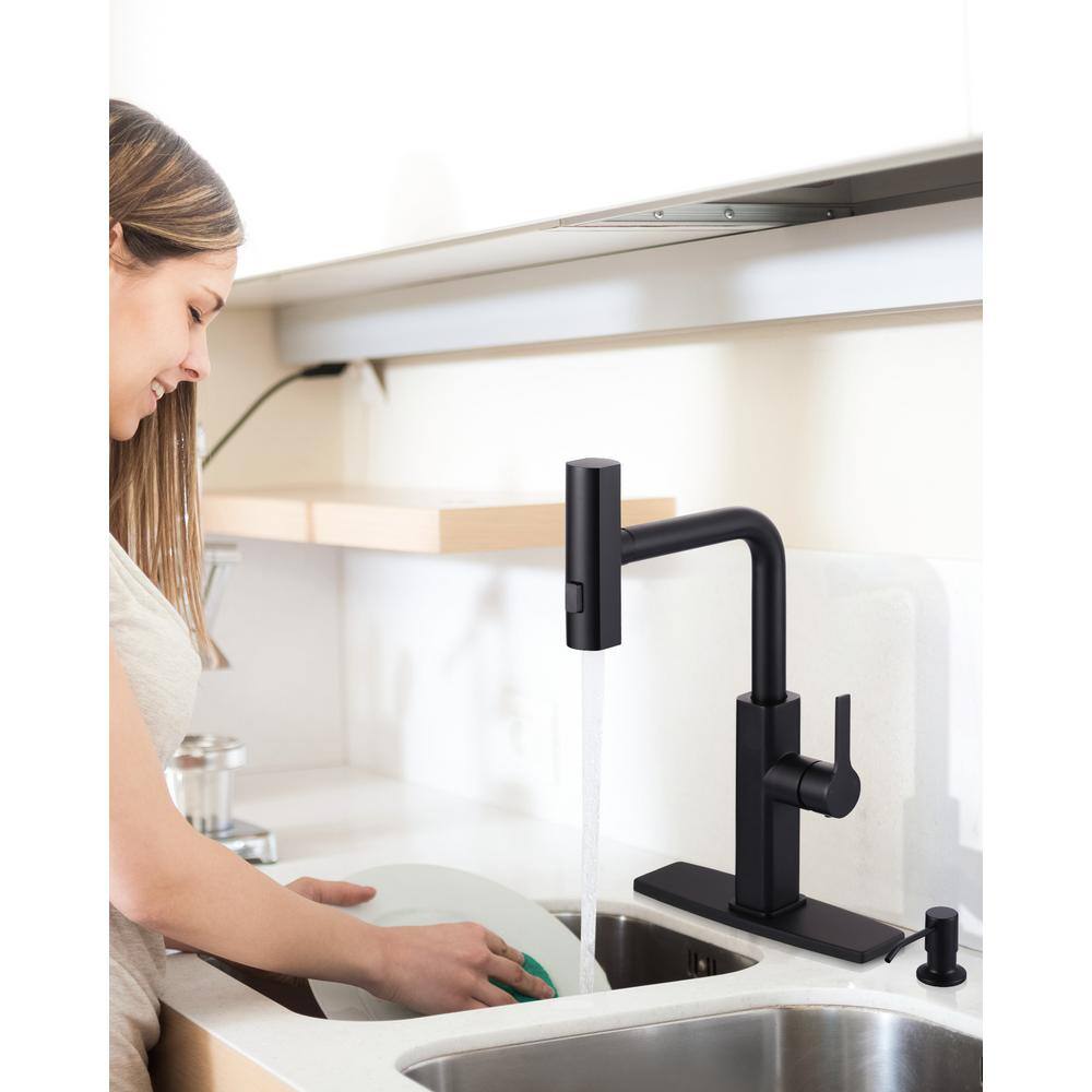 Matte Black Stainless Steel Pull Down Sprayer Faucet
