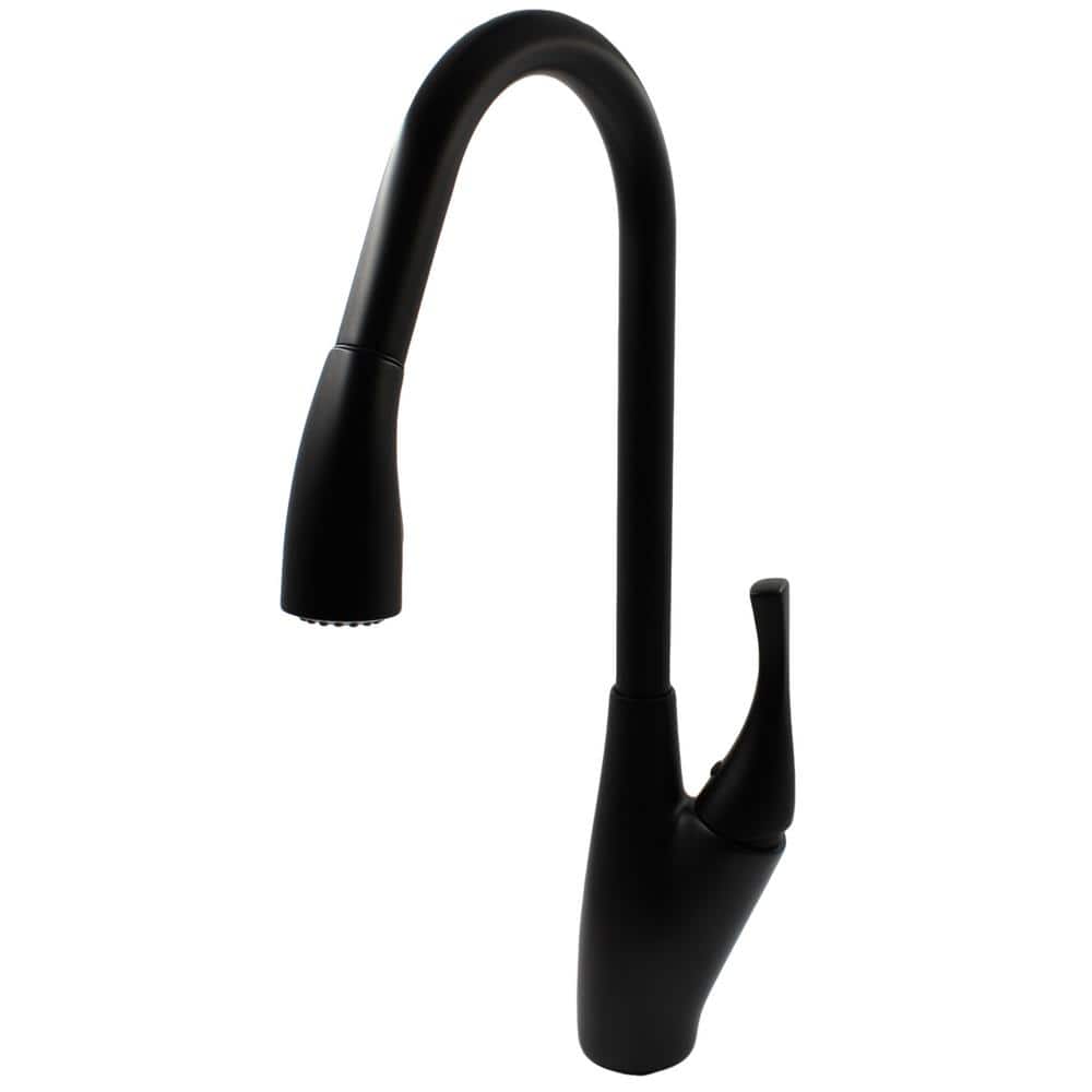 Dual Action Single-Handle Pull-Down Kitchen Faucet in Matte Black