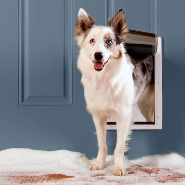 petsafe electronic smartdoor medium