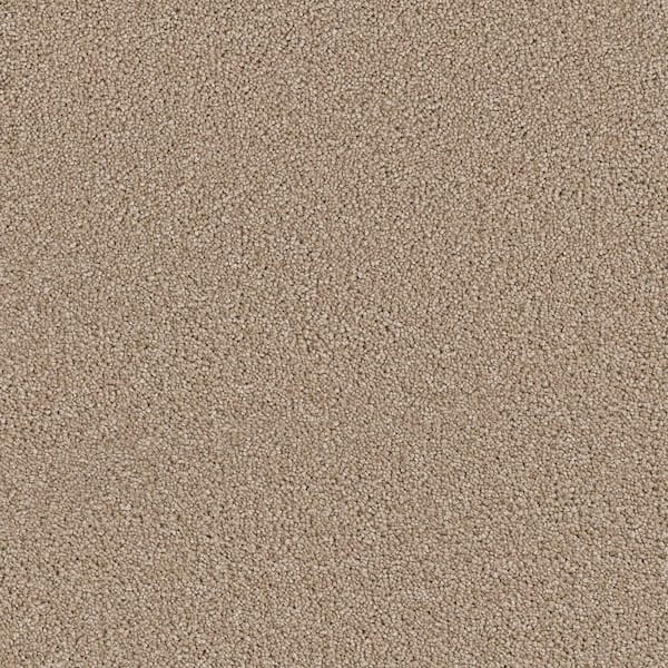Home Decorators Collection Perfected I  - Flawless - Beige 40 oz. SD Polyester Texture Installed Carpet
