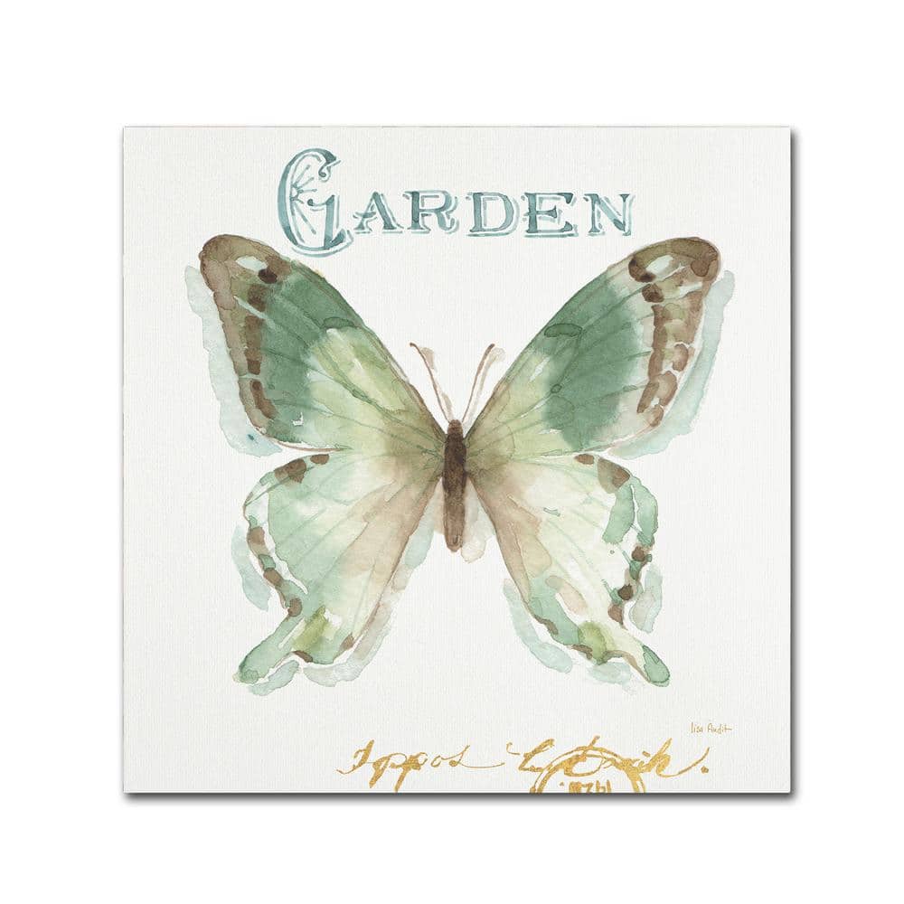 "14 in. x 14 in. ""My Greenhouse Butterflies III"" by Lisa Audit Printed Canvas Wall Art" price history on PriceWatchPro
