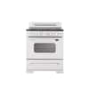 Classic Retro 30" 5 element Freestanding Electric Range with Convection Oven in. Marshmallow White
