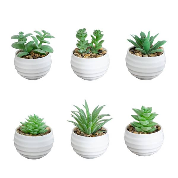3 in. Artificial Mini Succulent Plants in Decorative White Oval Planters - Set of 6
