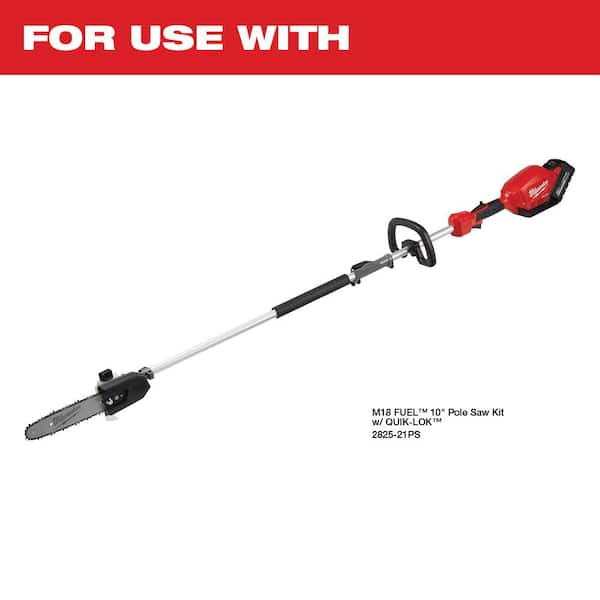 10 in. Chainsaw Chain with 40 Drive Links (5-Pack)