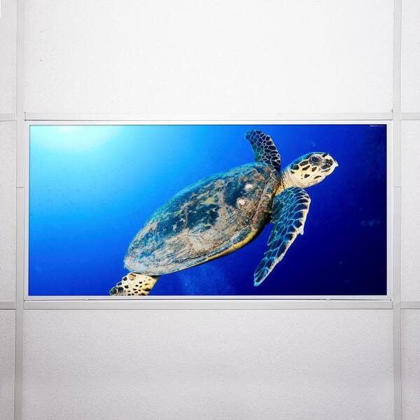 【SALE】ENVIORN コフレ OCTO LIGHTS Ocean 008 2 ft. x 4 ft. Flexible Decorative Light