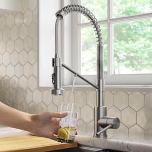 Bolden Single-Handle , Pull-Down Sprayer Kitchen Faucet Water Filtration System in Spot Free Stainless Steel