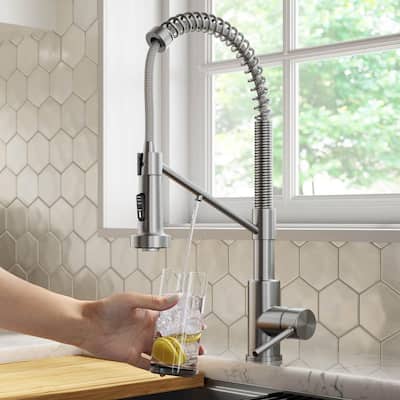 Bolden Single-Handle , Pull-Down Sprayer Kitchen Faucet Water Filtration System in Spot Free Stainless Steel