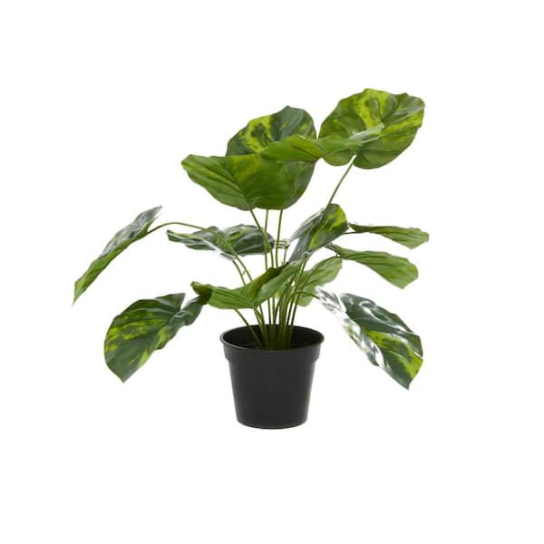 Green Faux Foliage Sweetheart Artificial Plant with Realistic Leaves and  Black Plastic Pot - 21 x 17 x 17 - On Sale - Bed Bath & Beyond - 32730053