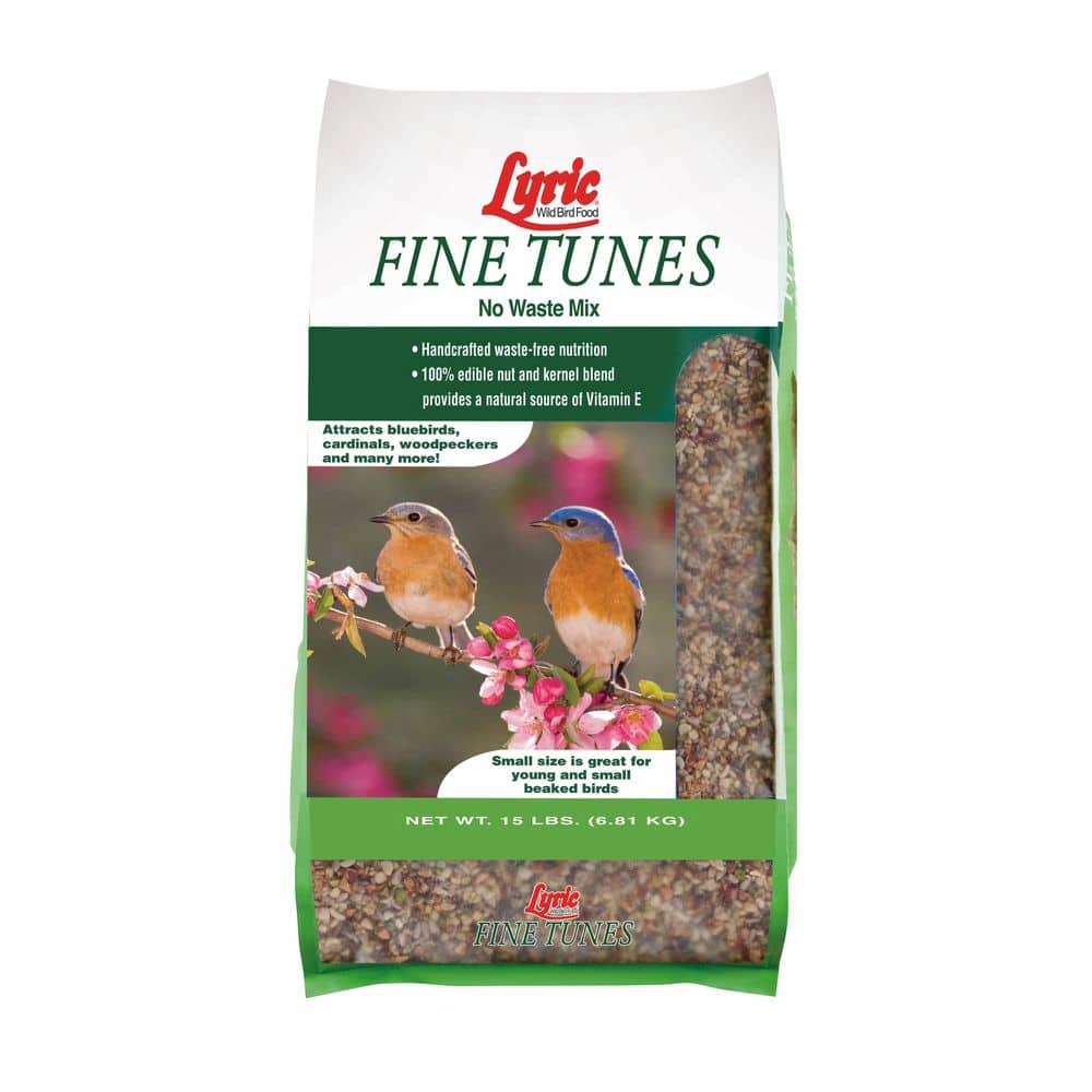 lyric-bird-seed-food-2647412-