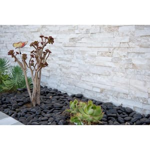 Polished Black 0.5 cu. ft . per Bag (1 in. to 2 in.) Bagged Landscape Pebbles (1 Bag/0.5 cu. ft.)