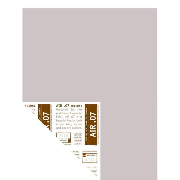 YOLO Colorhouse 12 in. x 16 in. Air .07 Pre-Painted Big Chip Sample