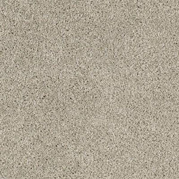 Lifeproof 8 in. x 8 in. Texture Carpet Sample - Gorrono Ranch II -Color Victorian