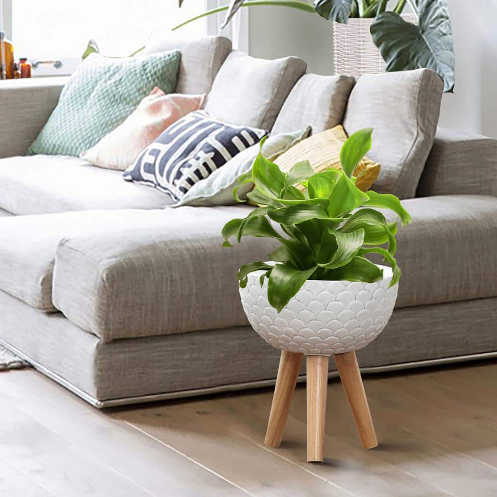 White Scallop Embossed Round Planter with Wood Legs