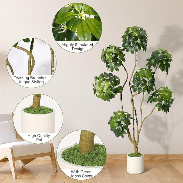 6ft Artificial Umbrella Schefflera Tree with Pot PHK_359QRBRS-WSS