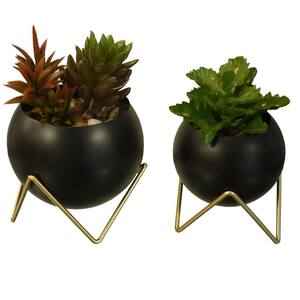 Spherical Planter, Decorative, Succulent, Modern Geometric Display Stand in Black (Set of 2)