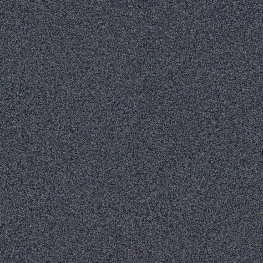 8 in. x 8 in. Texture Carpet Sample - Vignette Velvet I - Color Inlet price history on PriceWatchPro