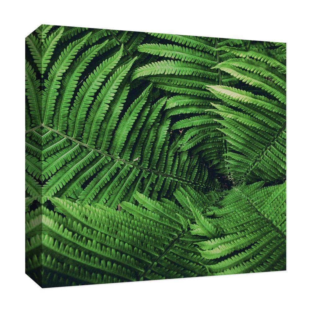 Ptm Images Natural Green'' Canvas Abstract Wall Art 15 In. X 15 In., Multicolored