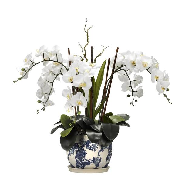 D&W Silks Indoor Cream Phael Orchid in Blue and White Ceramic