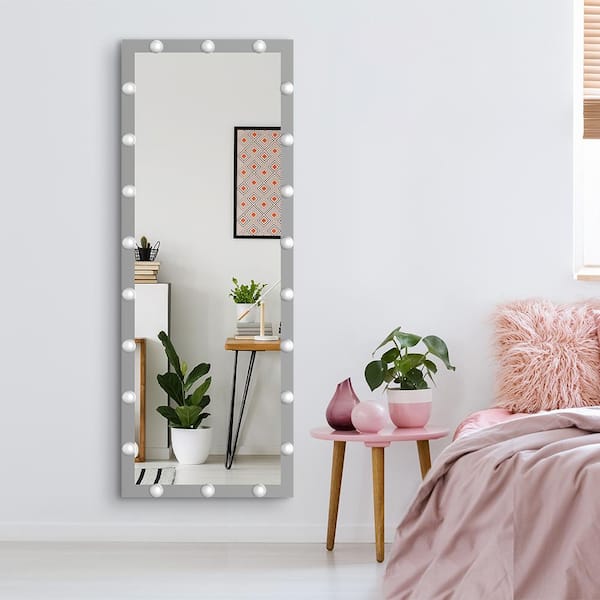Tradrou Silver 24 in. W x 63 in. H Rectangle LED Glass Full-Length Framed Mirror