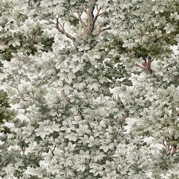 Graham & Brown Coppice White and Sage Green Wallpaper