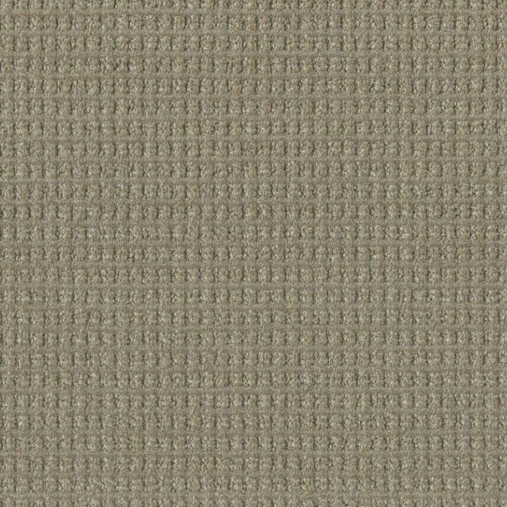 8 in. x 8 in. Pattern Carpet Sample - Amaryllis - Color Bellini price history on PriceWatchPro