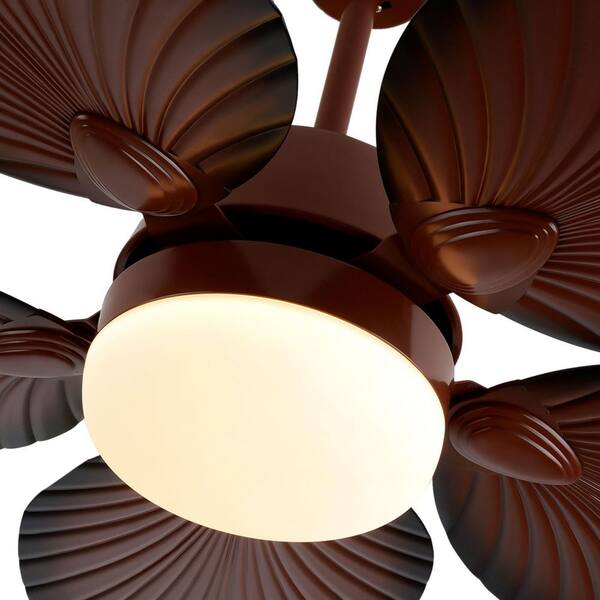 ♡FBHL♡ Oaks Aura Herman 52 in. Indoor Matte Black Modern Glam