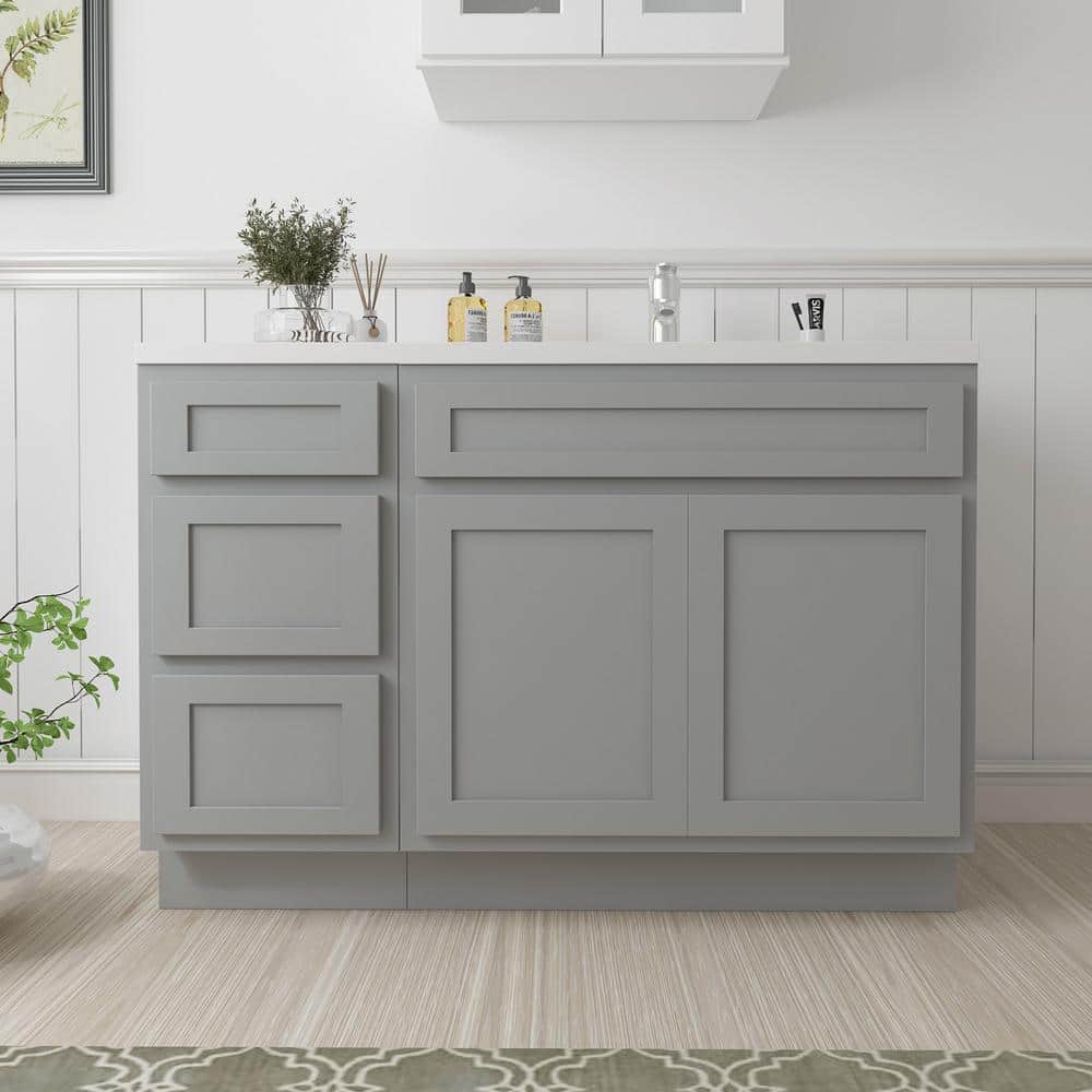 54 in. W x 21 in. D x 32.5 in. H Bath Vanity Cabinet without Top in Gray (Unassembled) price history on PriceWatchPro