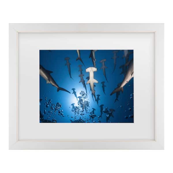 Trademark Fine Art Barathieu Gabriel Hammerhead Shark Matted Framed Photography Wall Art 18 in. x 22 in