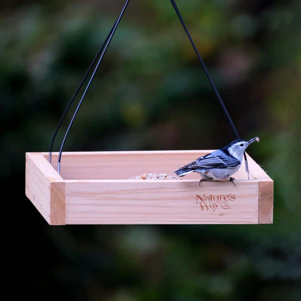 Nature's Way Cedar Platform Hanging Bird Feeder