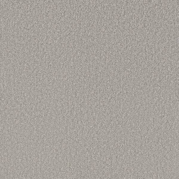 Home Decorators Collection Soft Breath Plus II - Wilshire - Gray 50 oz. SD Polyester Texture Installed Carpet