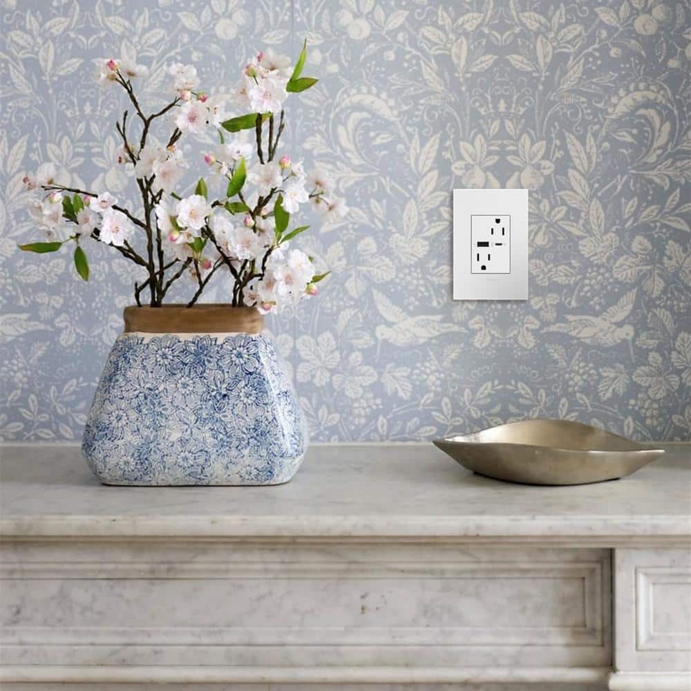 White Tamper Resistant Outlet with Dual USB Ports and Wall Plate