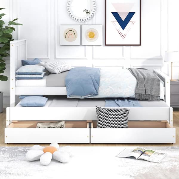 CP ブランケット bright brightwin 2gether Amazon.com: Levtex Home