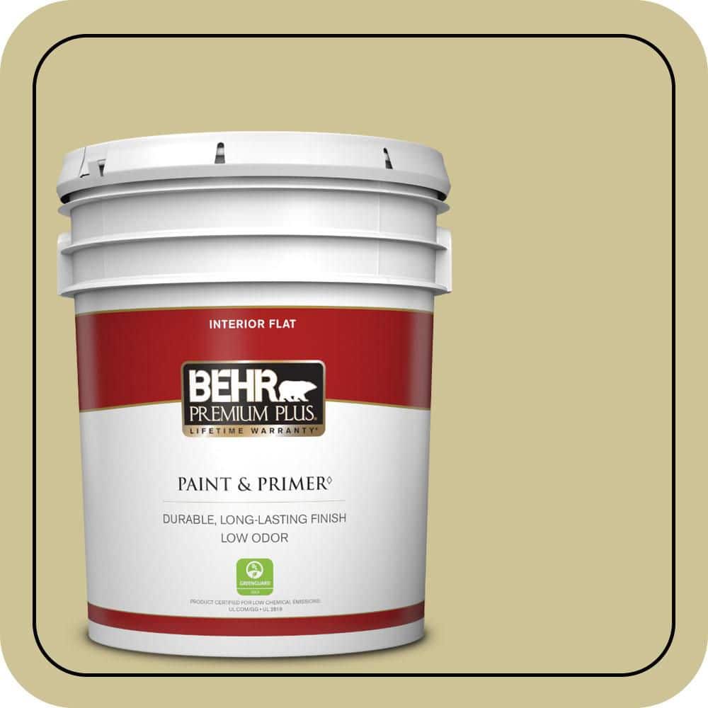 5 gal. #390F-4 Outback Flat Low Odor Interior Paint & Primer price history on PriceWatchPro