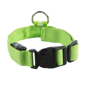 Night Walking Light Up LED Dog Collar for Large Dogs, Green, XL