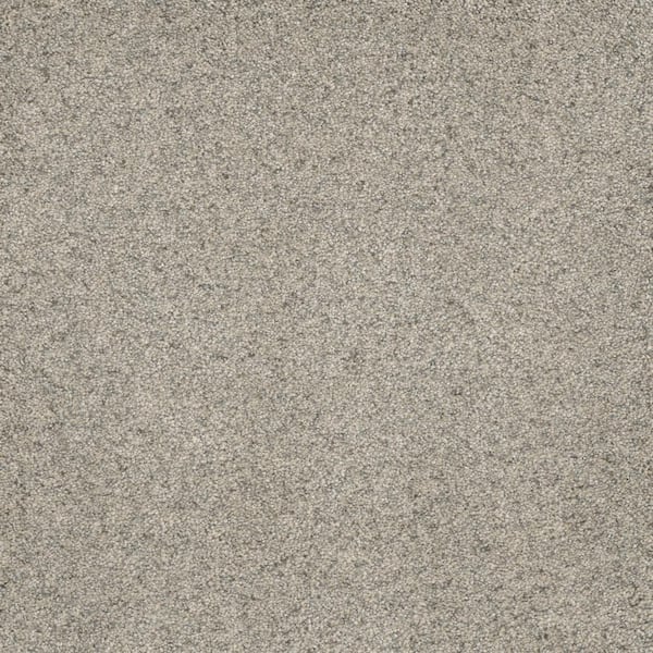 Home Decorators Collection Bradmore I - Trail - Gray 45 oz. SD Polyester Texture Installed Carpet