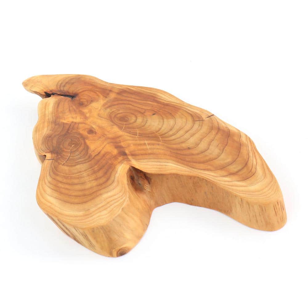 8in. x 12in. x 1in. Brown Fir Root Wood Elevated Server price history on PriceWatchPro
