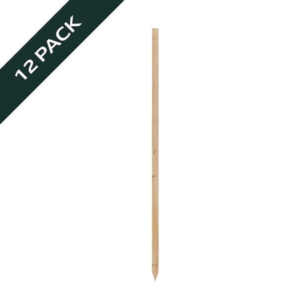 36 in. Wood Tomato Stake (12-Pack)