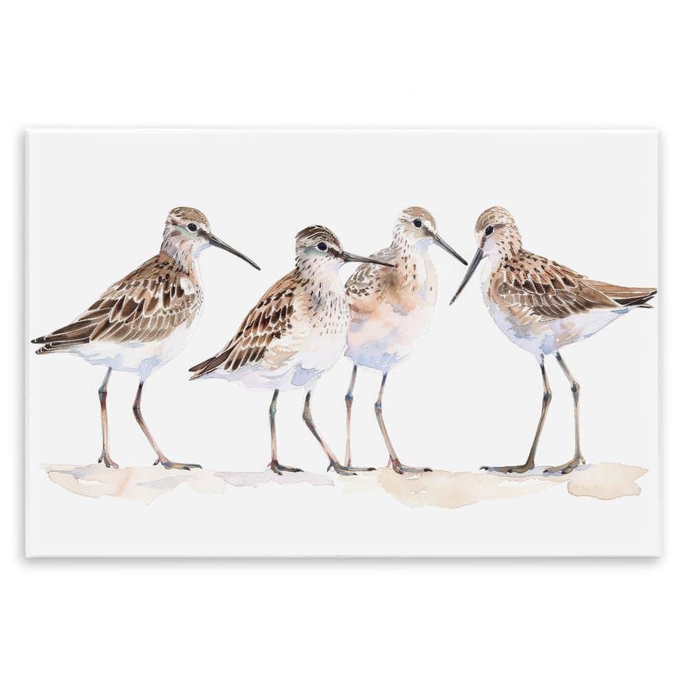 Sand Pipers Gathered by Petal Prints Design Unframed Animal Graphic Art Print 10 in. x 15 in. price history on PriceWatchPro